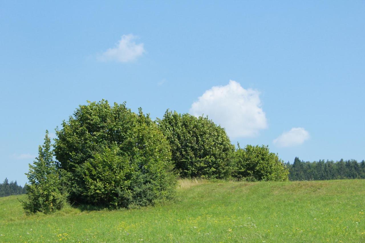 Ferienwohnung Nerro Prezid Exterior foto